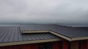 Best Roof Coating and Sealing  in Mont Alto, PA